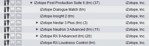 iZotope Post Production Suite 6 (read first)